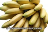 大香蕉之国产